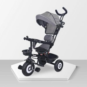 R for Rabbit Tiny Toes T40 Ace Tricycles for Kids with Premium EVA Wheels
