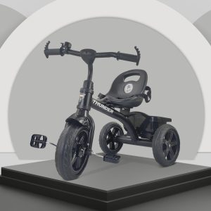 Dash Thunder Sports Tricycle for Kids