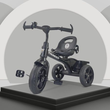 Dash Thunder Sports Tricycle for Kids