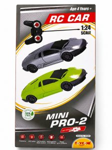 Mini Pro-2 RC Car